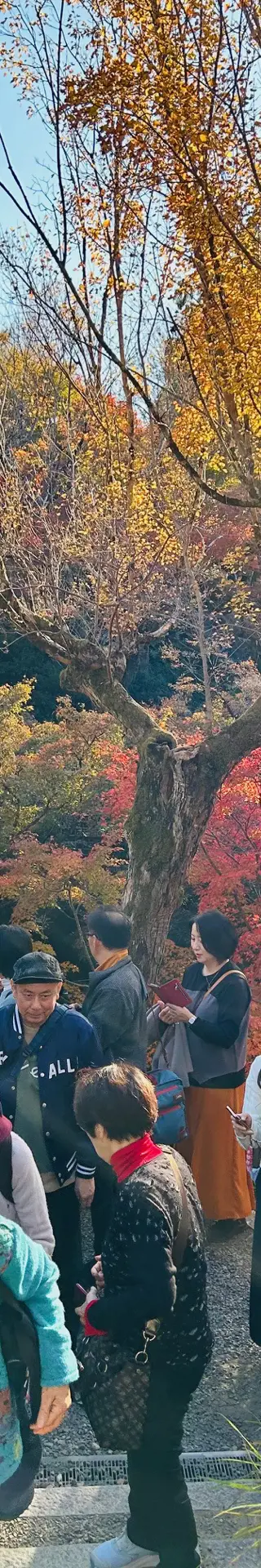 Indian Summer in Japan